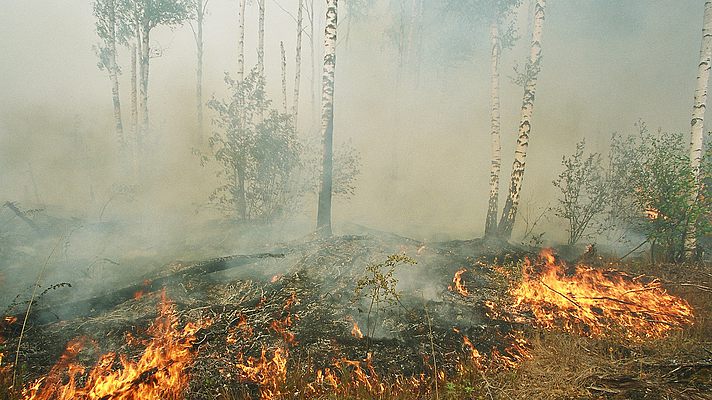 ГосЧс: осталось потушить около 9,9 га горящих торфяников в Киевской области
