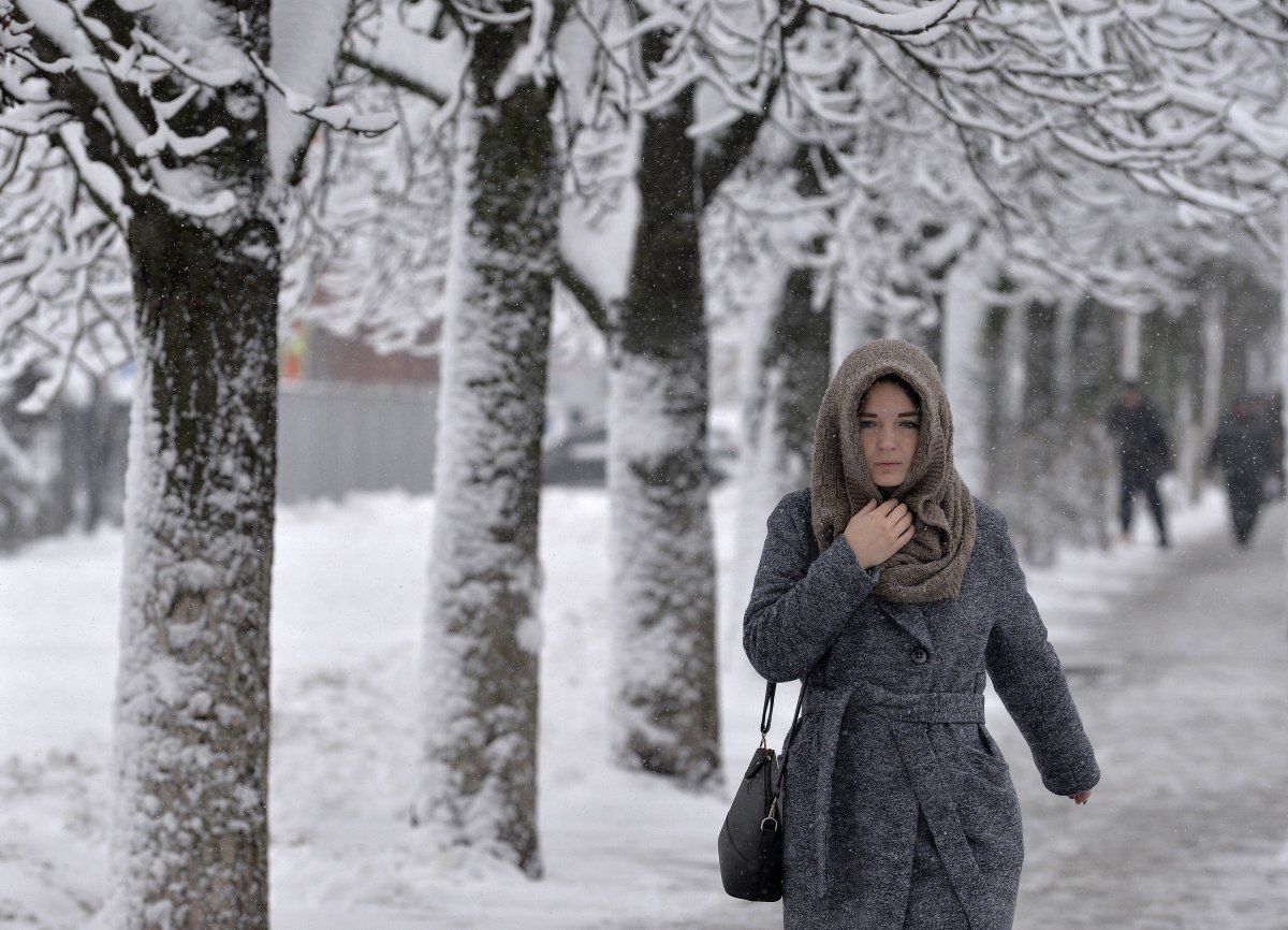 Украину засыпет снегом: когда ждать мощных осадков и метели