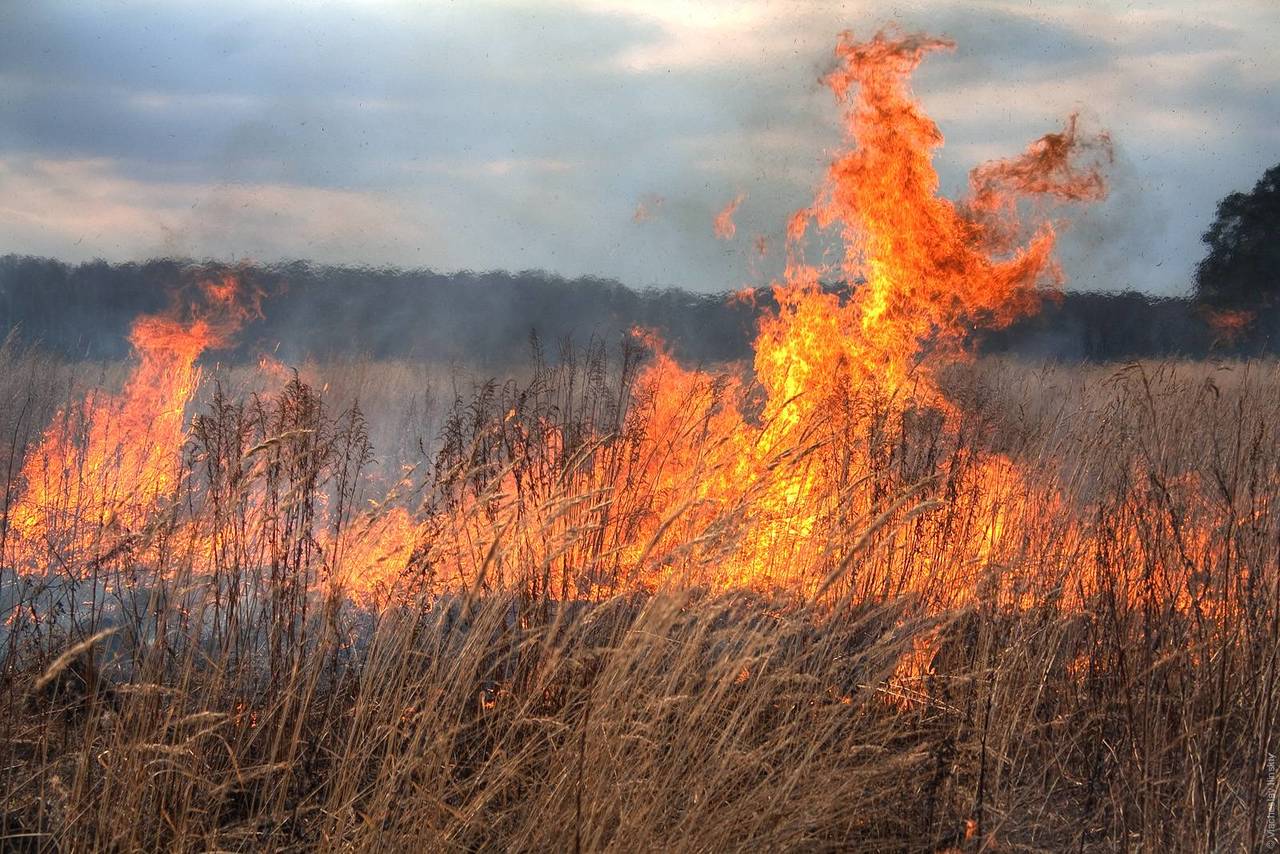 "ЛНР" в огне: выгорело 18 га территории, есть пострадавшие