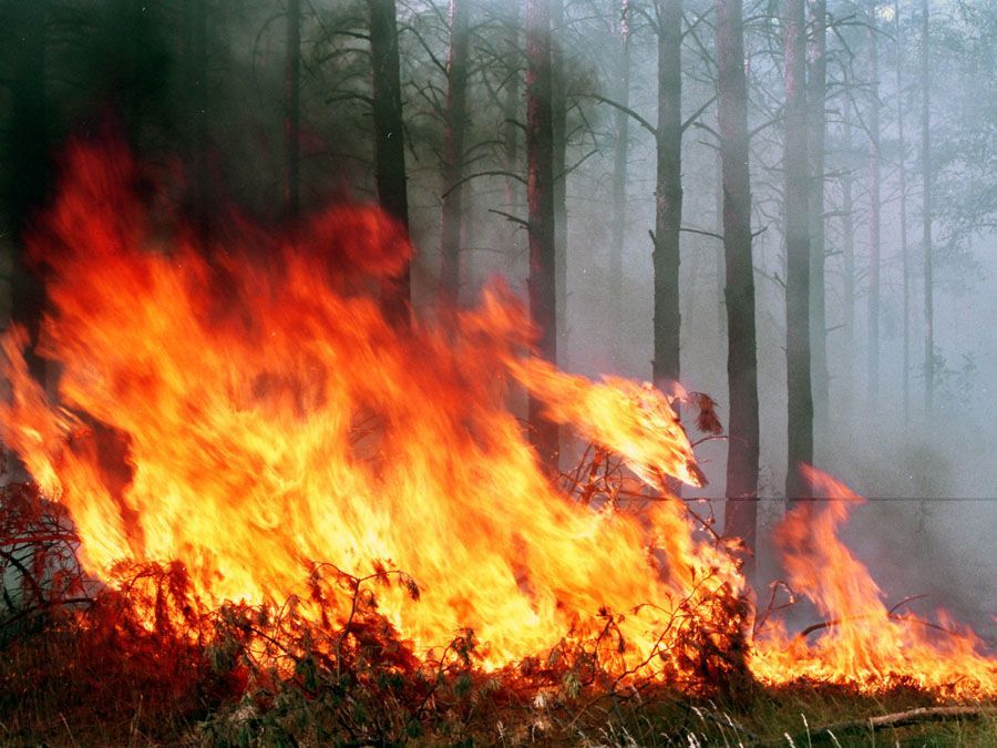10 областей Украины предупреждены о высокой вероятности возникновения пожаров из-за адской жары