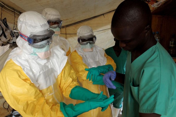 СМИ: вакцина от вируса Эбола ZMapp успешно испытана на обезьянах