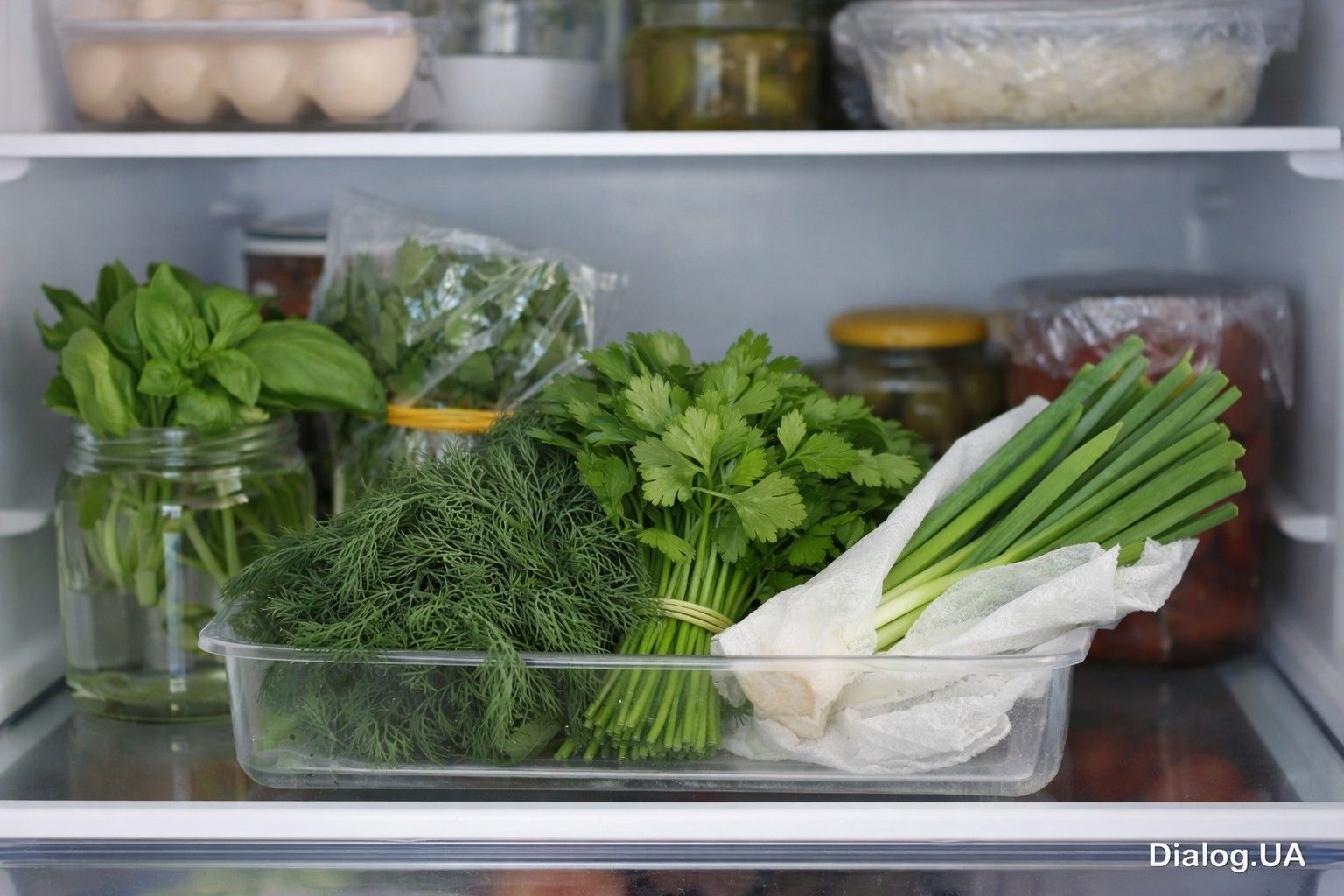 Как правильно хранить свежую зелень и избежать ее быстрого увядания – советы эксперта