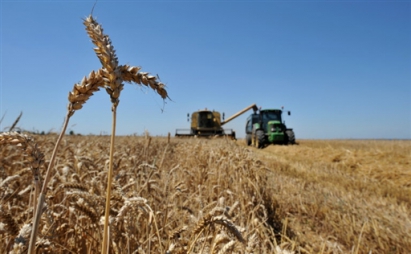 Украина должна удвоить производство зерна и экспортировать готовую продукцию - Абромавичус