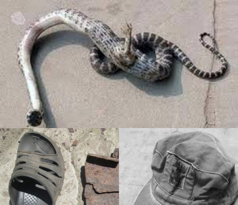 В Чернобыле 4-метровый человек-змея убил двух туристов