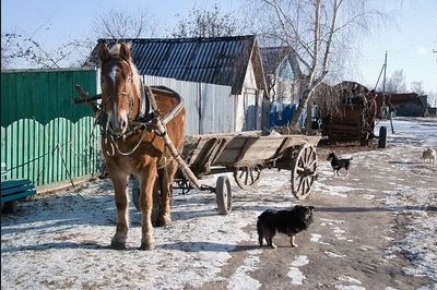 Украинец хотел вывезти почти полтонны сала в Россию гужевой повозкой