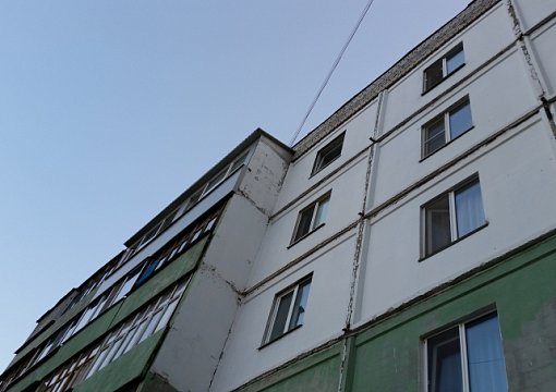 Шокирующий инцидент в Луцке: неизвестный на глазах у свидетелей выбросил из окна многоэтажки большую собаку - подробности