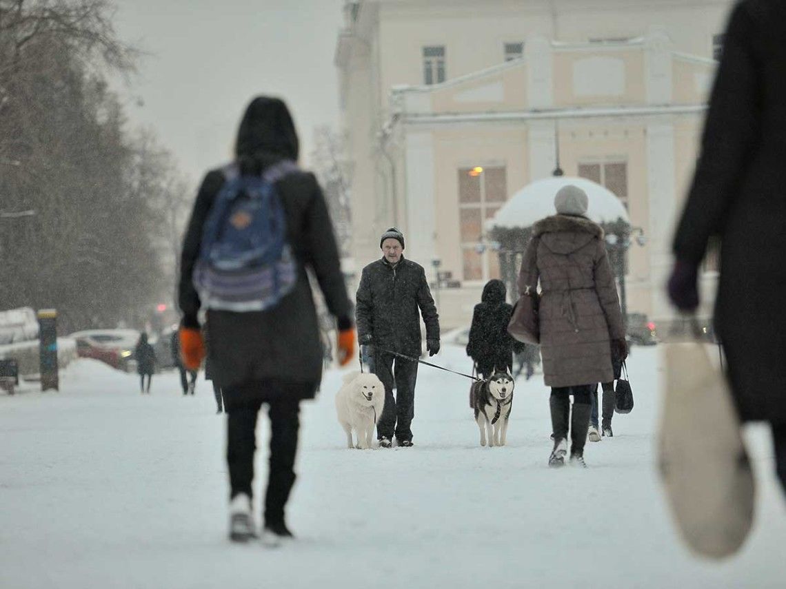 В Украину возвращается зима с метелью и снегопадами: прогнозы синоптиков