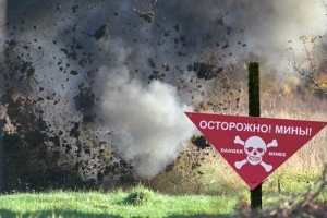 ​Москаль запретил на территории Луганской области охоту, сбор дров и пикники