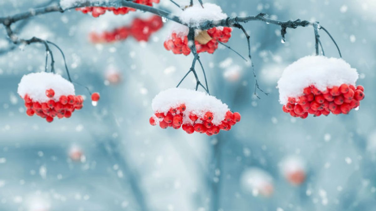 Украину ждет 110 дней снега, если сработает примета 13 декабря