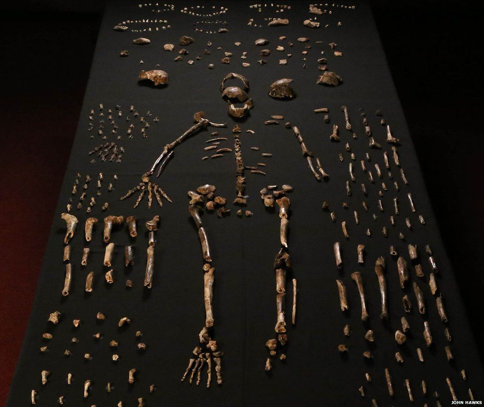 Археологи нашли новый человекоподобный вид в Южной Африке