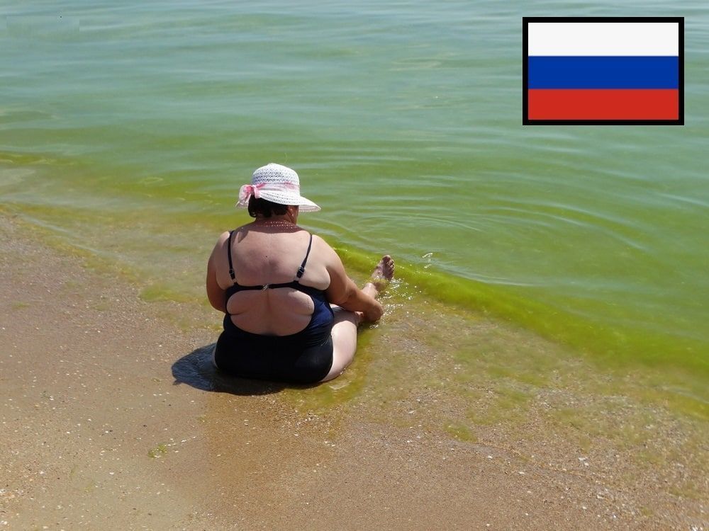 Российские власти рассказали про судьбу курортного сезона в залитом мазутом Туапсе