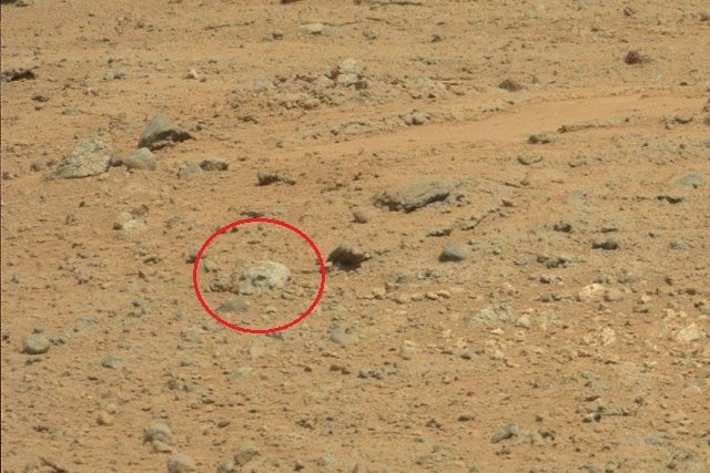 Череп воина Марса: на Красной планете ученые нашли невероятные останки - кадры