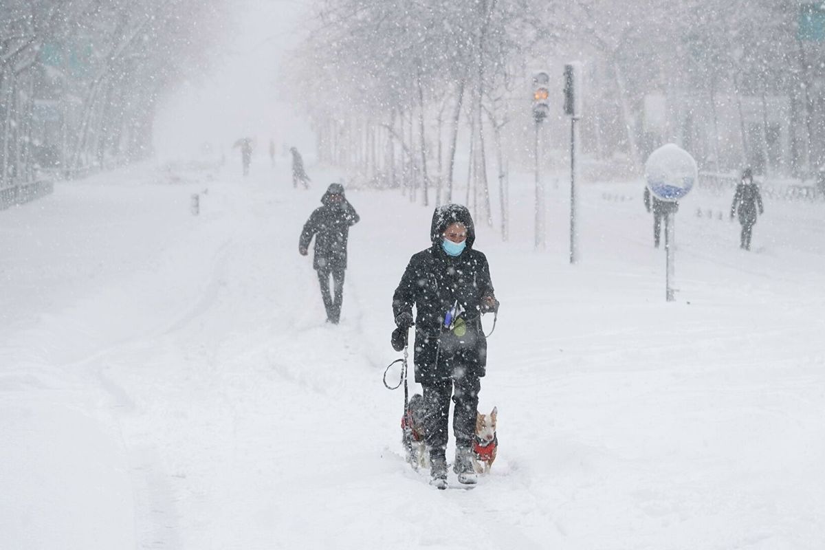 ​В Украину возвращается зима с "лютыми" морозами и снегопадами: прогноз синоптиков