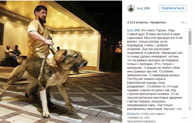 Убийцы российских солдат угрожают оппозиционерам РФ овчаркой Кадырова