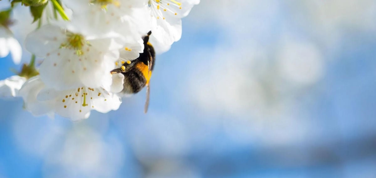 В Украину надвигается холодный атмосферный фронт: где пройдет снег, названа дата стабильного потепления