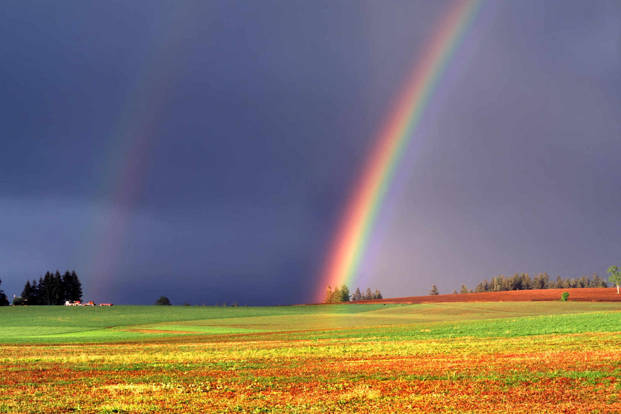 В небе над Британией появилась необычная радуга "кислотных" цветов - кадры