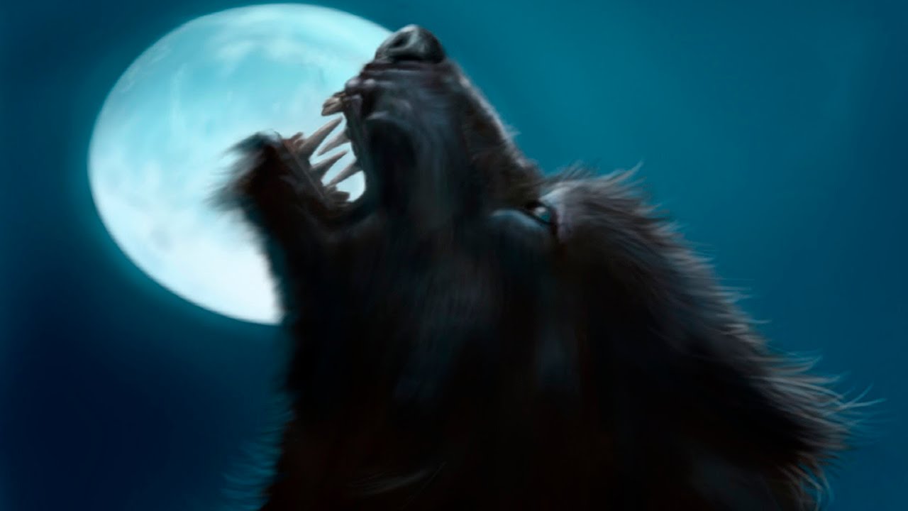 Семья американцев столкнулась с оборотнем во время "Кровавой луны": странное существо следило за сыном