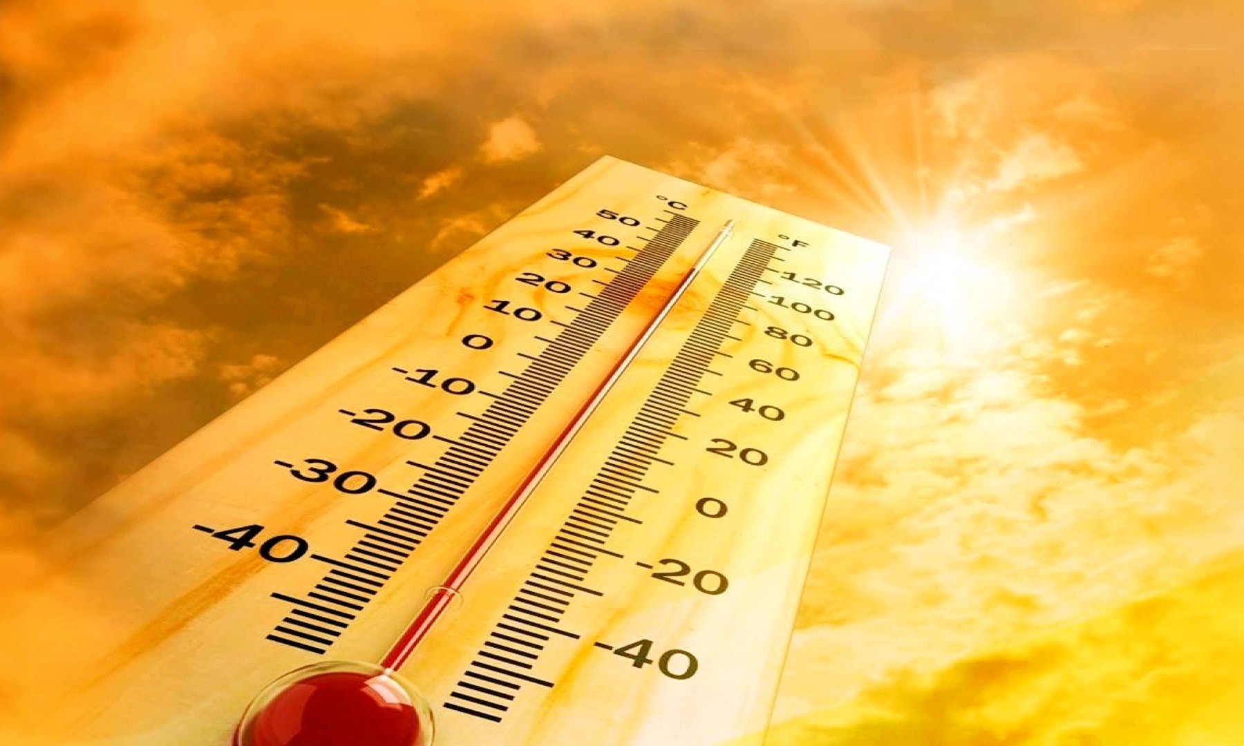 Прогноз ученых: от аномальной жары пострадает тысяча городов