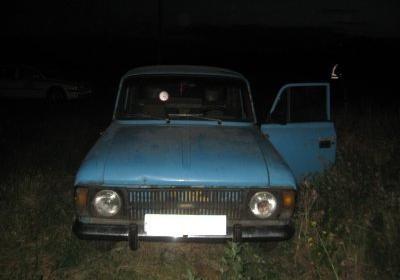 В Днепропетровской области 8-летний ребенок на машине отца сбил пенсионерку