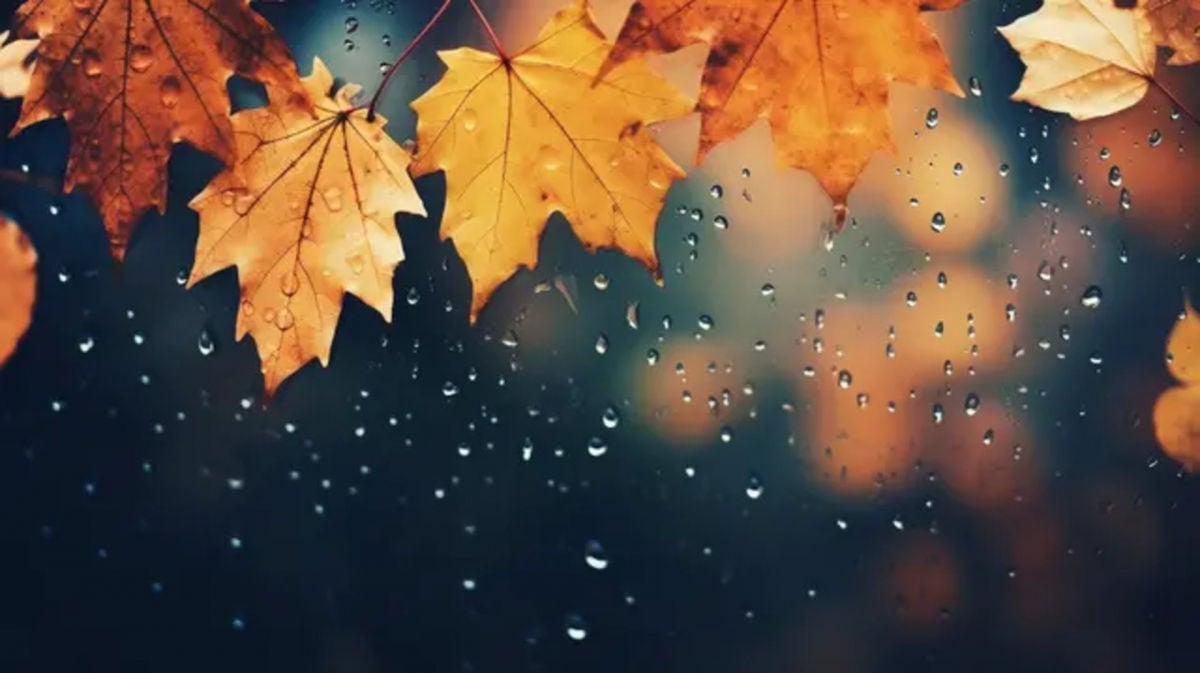 Теплее нормы, но с погодными "качелями": синоптик рассказала, чего ждать в последние дни перед зимой