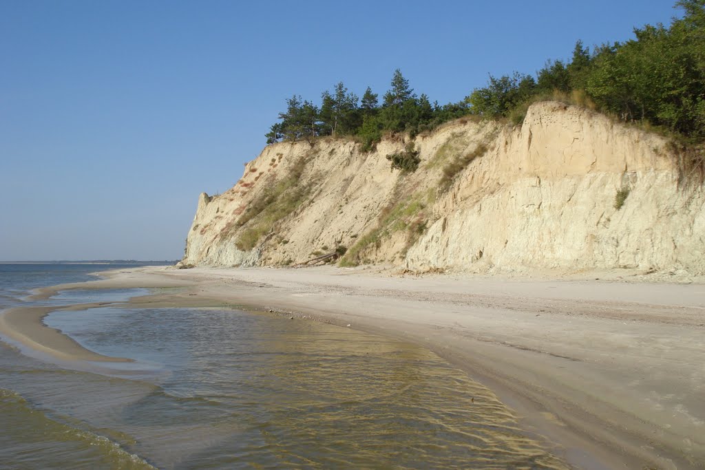 Кременчугское водохранилище размывает могилы старых кладбищ - скелеты висят над водой, - кадры