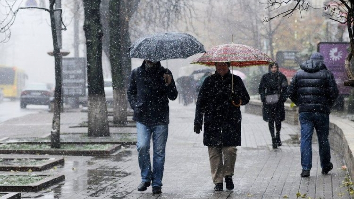 Киев парализован ледяным дождем - синоптики предупреждают об ухудшении погоды