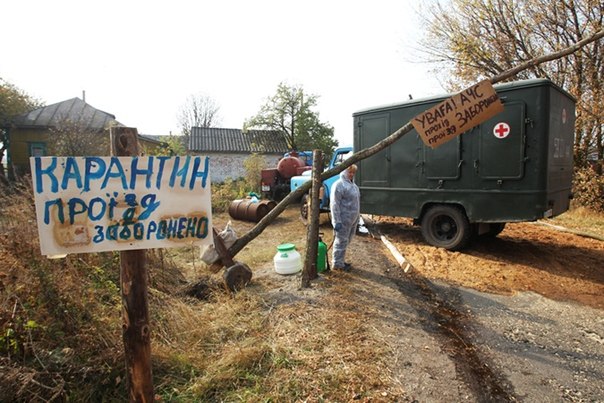 В Черниговской области 1300 человек изолировали из-за вспышки африканской чумы свиней