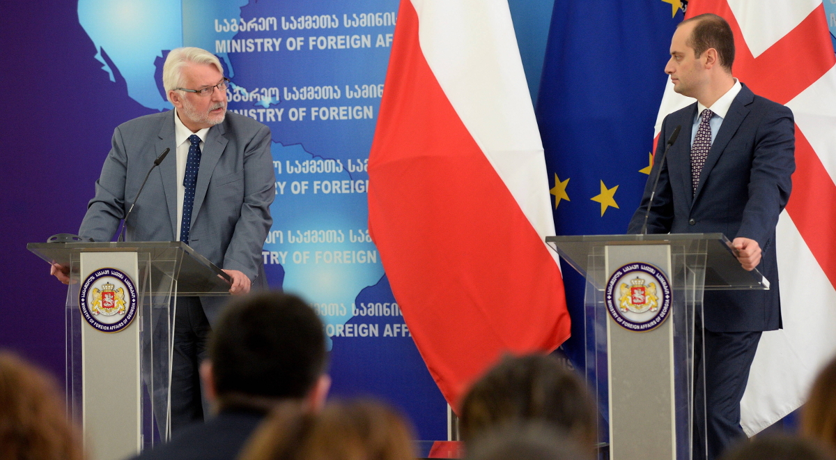 Польша, поскандалив с Украиной, выбрала близким другом Грузию: Варшава очень хочет, чтобы Тбилиси стал частью ЕС