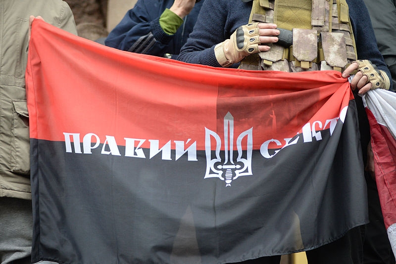 "Добровольческий Украинский корпус" могут легализовать - Бирюков