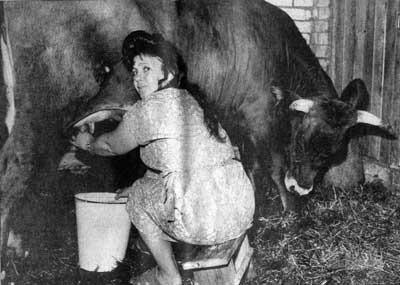 Биография матери Александра Лукашенко