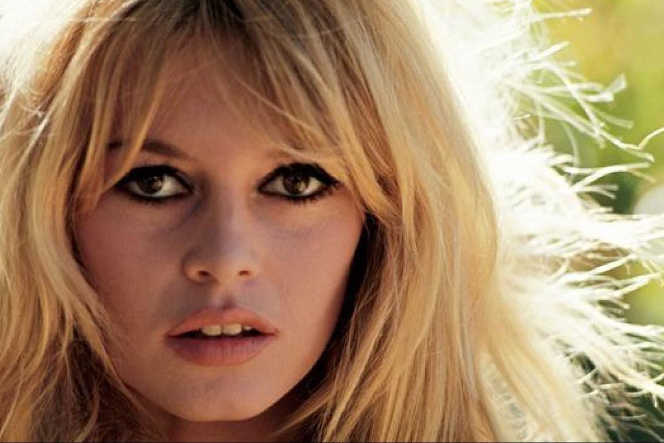 Мир прощается с Бриджит Бардо: ушла из жизни икона мирового кинематографа