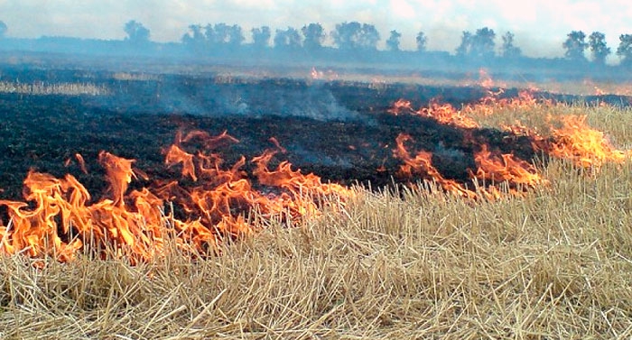 ​Крым охватила стена огня, которую никто не собирается тушить: появились фото выжженного полуострова