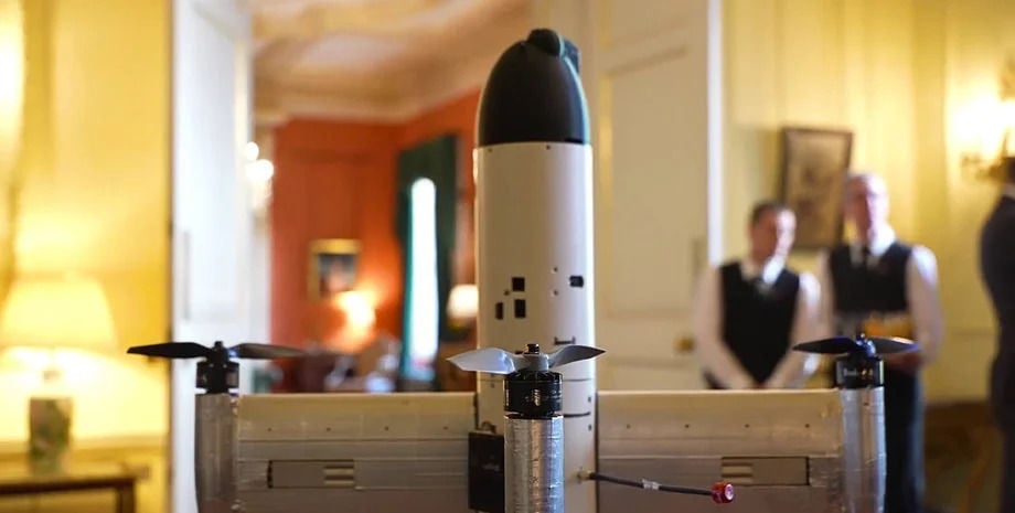 Технология "Осьминог": в Украине началось производство дронов-перехватчиков для борьбы с "Шахедами"