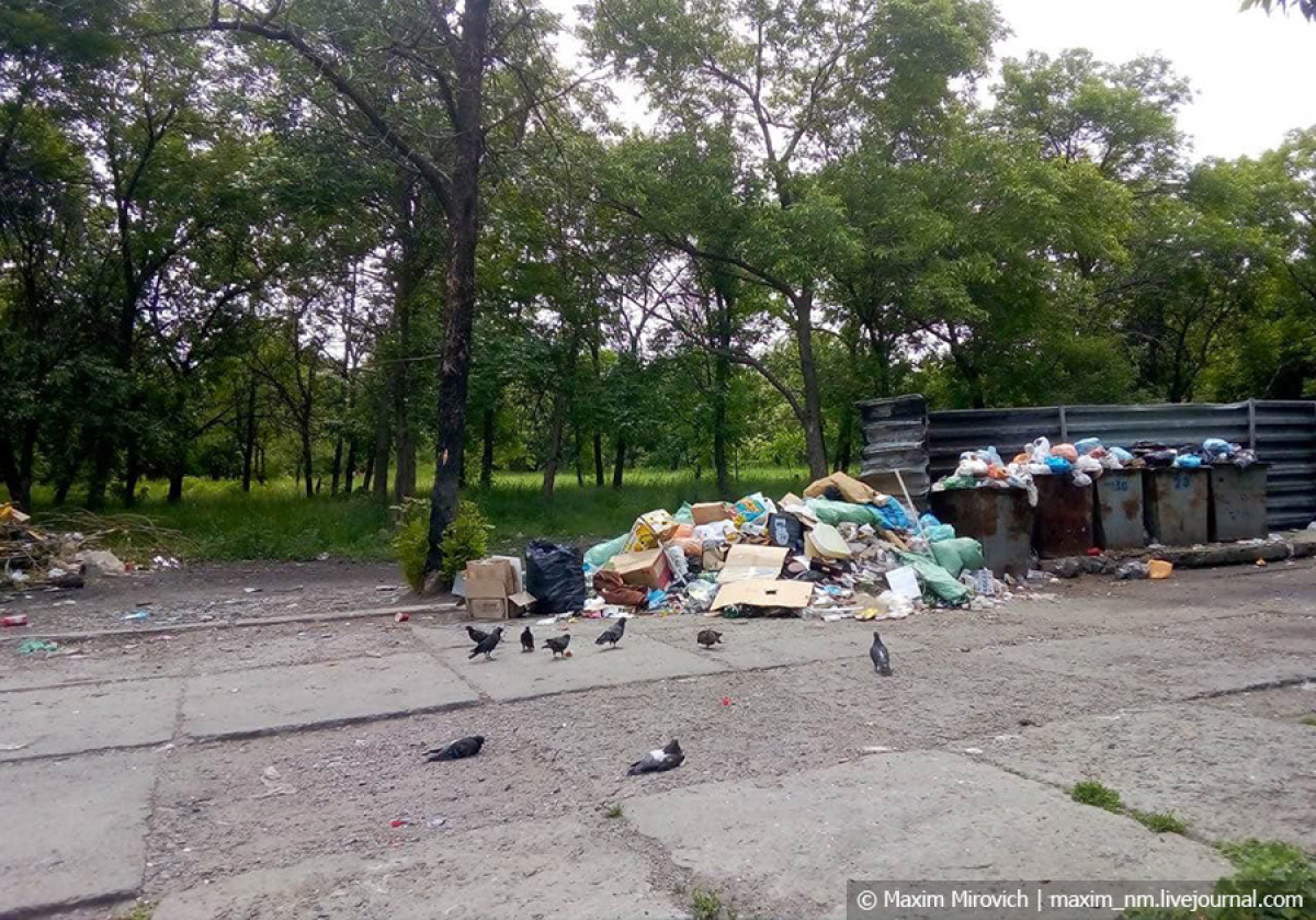 Горы мусора и бродячие собаки: кадры, как в "ЛНР" загибаются шахтерские города