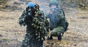 В боевую готовность приведены войска РФ