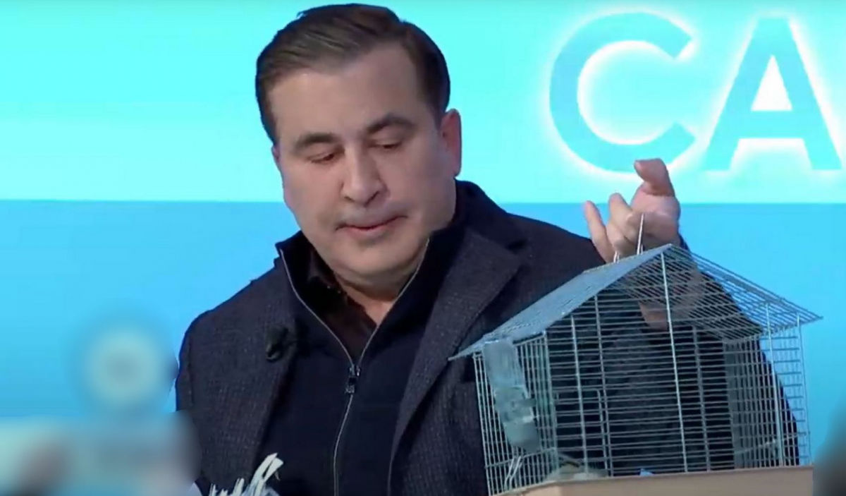 Саакашвили рассказал о проблемах коррупции в Украине на примере крысы