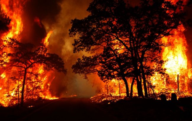 Видео гигантского пламя лесного пожара, “отрезавшего” все наземные пути спасения людей в канадском Форт Мак-Мюррей поразило мир   