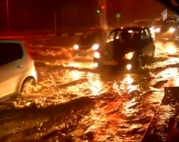 В Тбилиси в результате стихии затоплена территория зоопарка. Из клеток вырвались несколько зверей