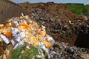 «Смерть пармезана»: Уничтожение продуктов в России начали высмеивать поэты
