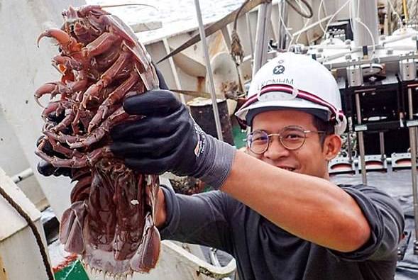 Морской "Дарт Вейдер": в Индийском океане обнаружили огромного глубоководного таракана