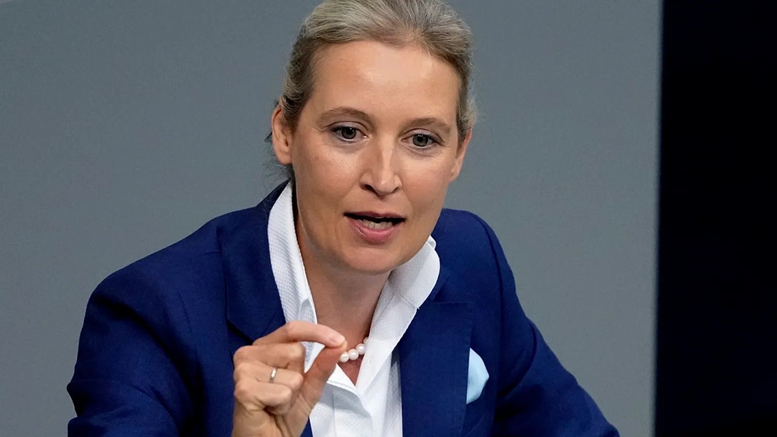 Служил в СС и был судьей: вскрылись детали о семье главы AfD Алисы Вайдель