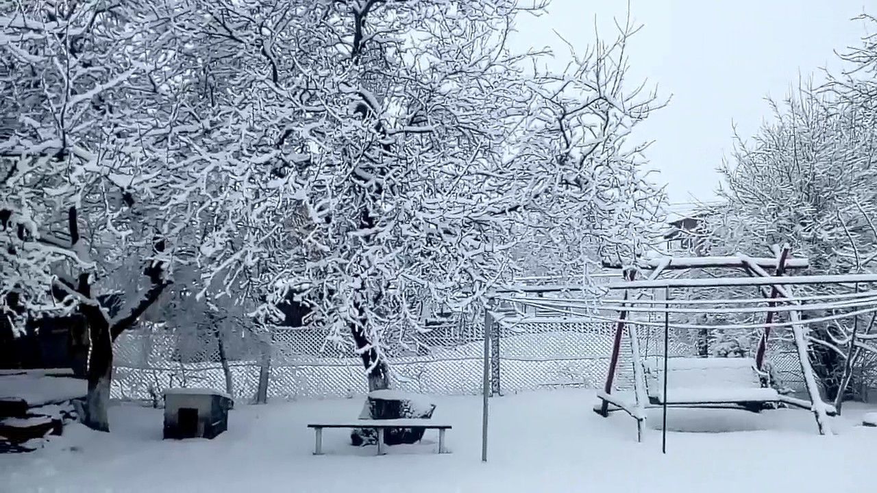 Два дня сильных снегопадов в Украине: синоптик назвал даты и области 