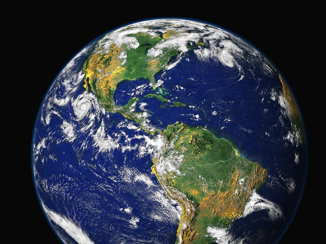 Осталось недолго: к концу столетия ученые ожидают начало необратимого шестого вымирания на Земле