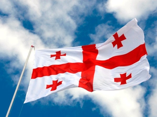 СМИ: несколько тысяч жителей Тбилиси протестует против работы правительства