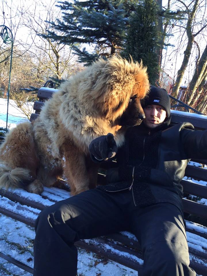 Собачья российская политика: депутат Думы ответил Кадырову фотографией своего пса 