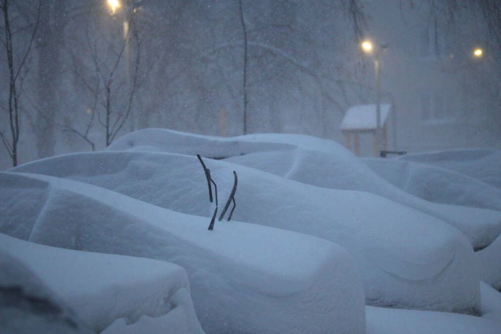 ​Ночь на 16 февраля будет опасной: метели и порывы ветра до 20 м/с накроют часть Украины