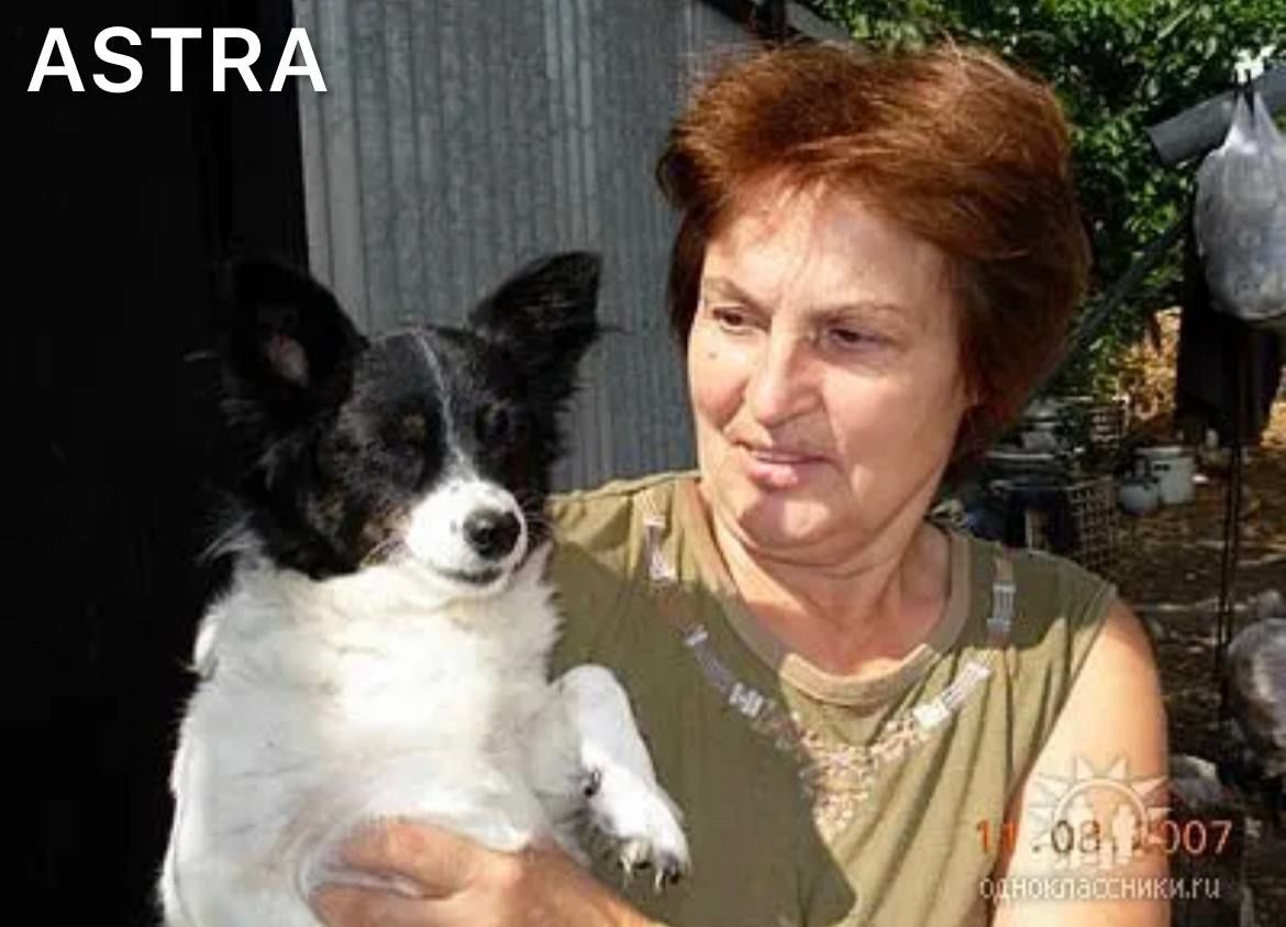 В России за комментарий о ликвидации Z-военкора Татарского задержали 77-летнюю пенсионерку: что она написала