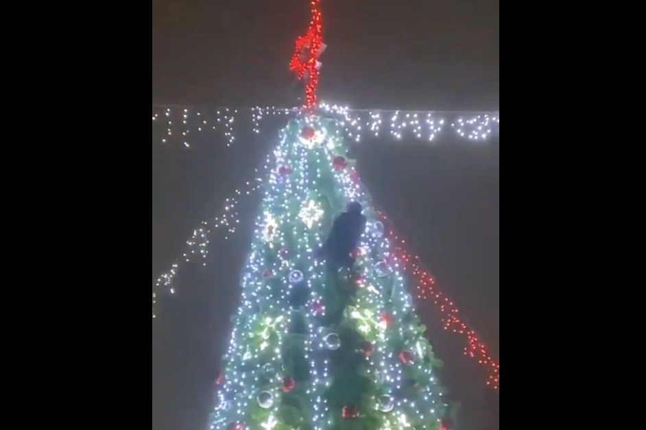 ​В Кривом Роге мужчина в новогоднюю ночь залез на главную елку и застрял - момент попал на видео