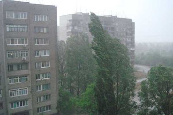 Соцсети: в Киеве мощный ураган, дрожат окна и летают ели