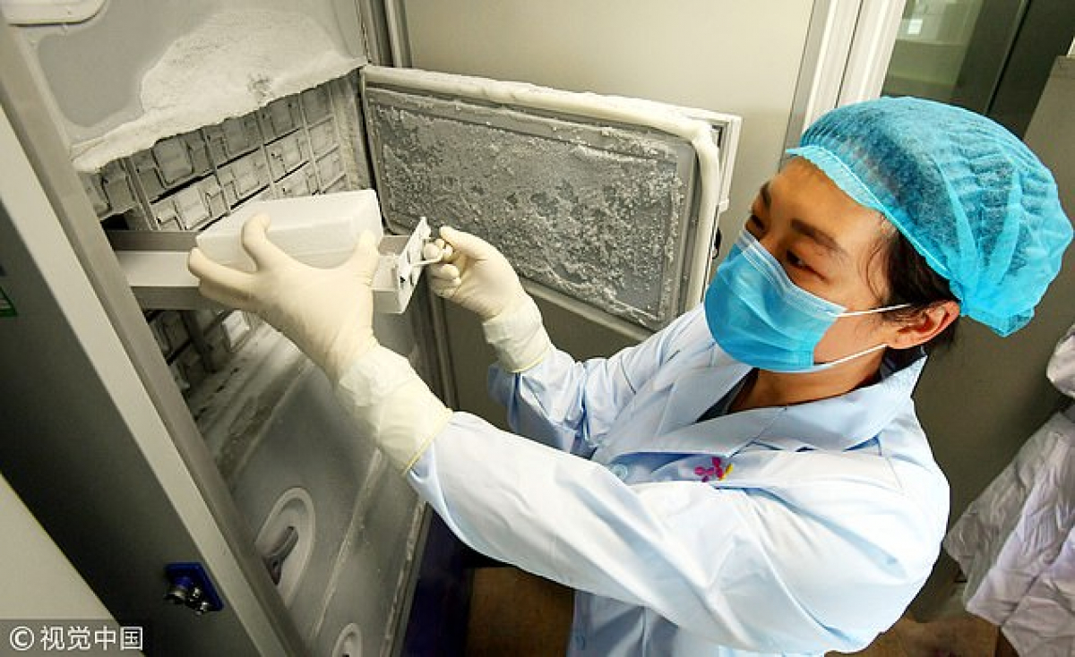 СМИ показали секретные фотографии из лаборатории в Ухане, где хранят 1500 штаммов различных вирусов